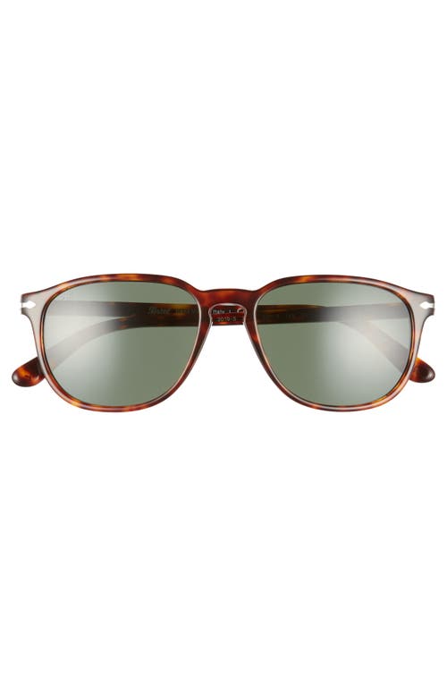 Shop Persol 55mm Square Sunglasses In Havana/green Solid