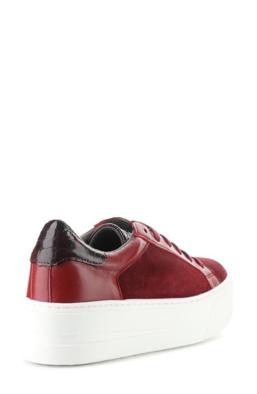 Bos. & Co. Maude Platform Sneaker In Sangria/rojo Sangre Suede