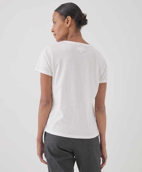 Pact Organic Cotton Softspun V-neck Tee In White