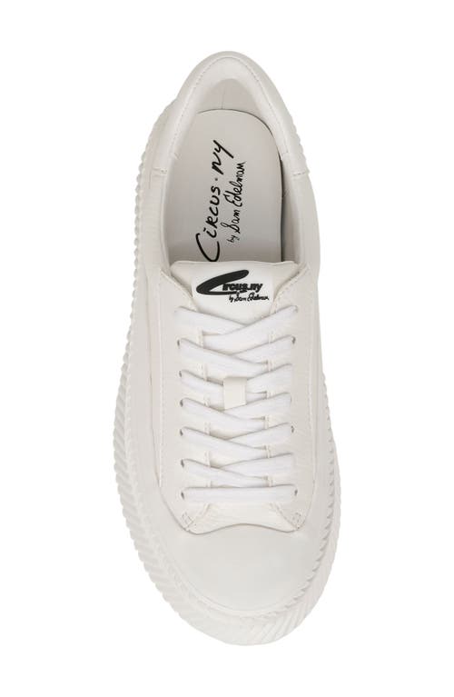 Circus Ny By Sam Edelman Tatum Platform Sneaker In White