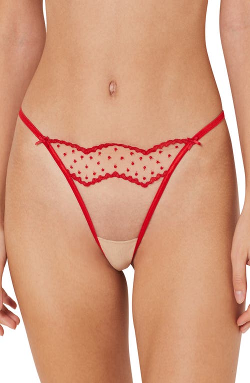 Emerveilee Embroidered Tulle G-String
