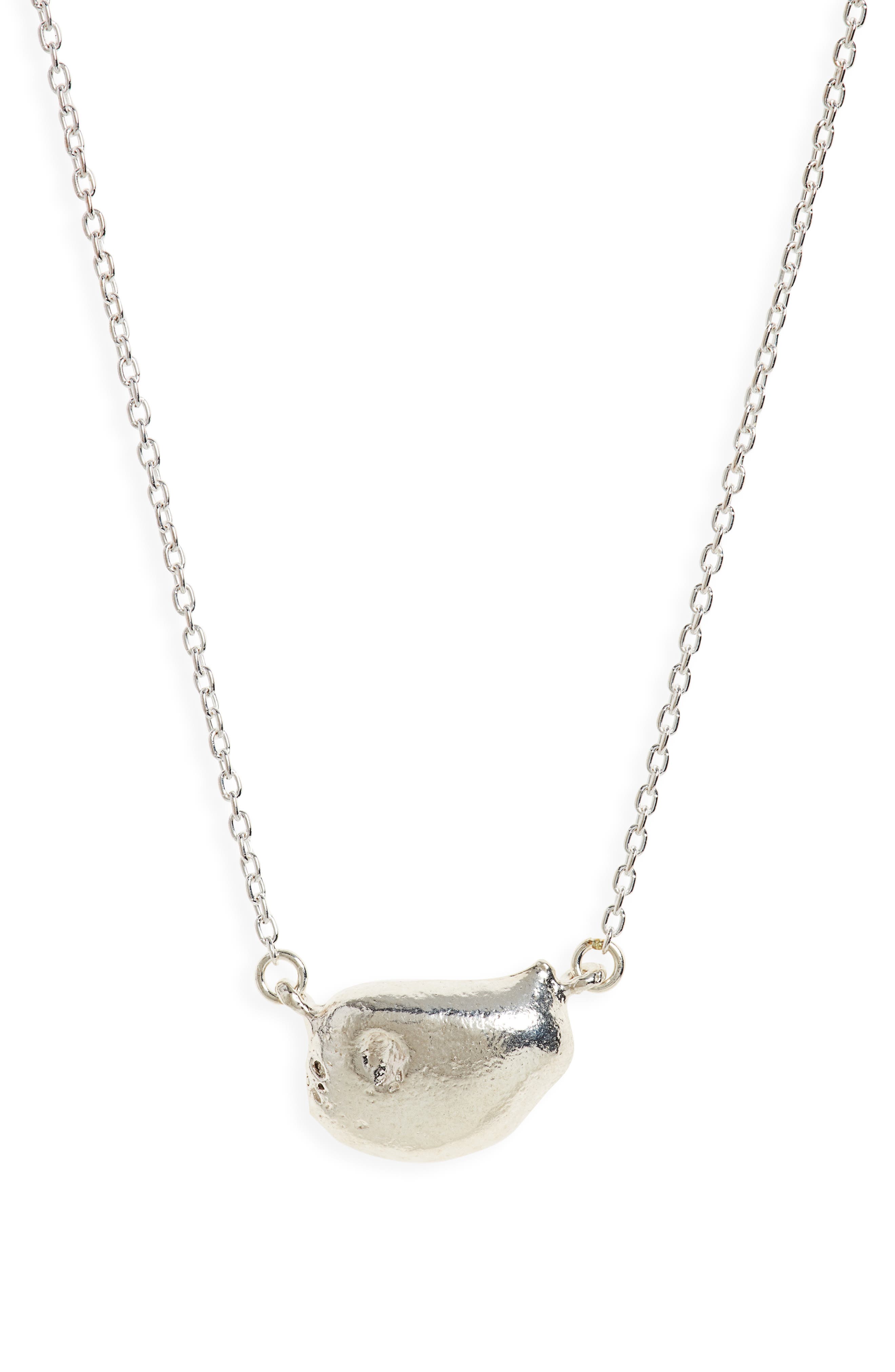 Alighieri The Trailblazer Chapter 1 Necklace in Silver at Nordstrom
