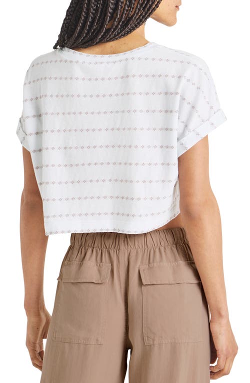 Shop Splendid Skyler Pointelle Crop T-shirt In Rattan Stripe