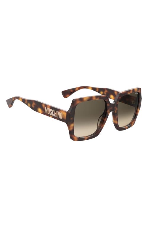 Shop Moschino 56mm Gradient Square Sunglasses In Havana 2/green Shaded