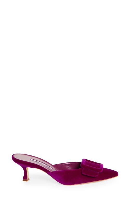 Shop Manolo Blahnik Maysale Buckle Pointed Toe Mule In Purple