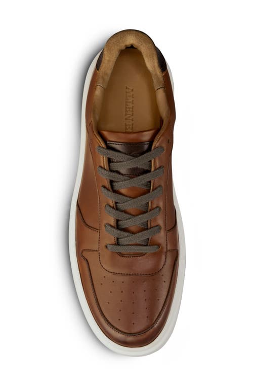 Allen Edmonds Men's Owen Leather Low-top Sneakers In Chili