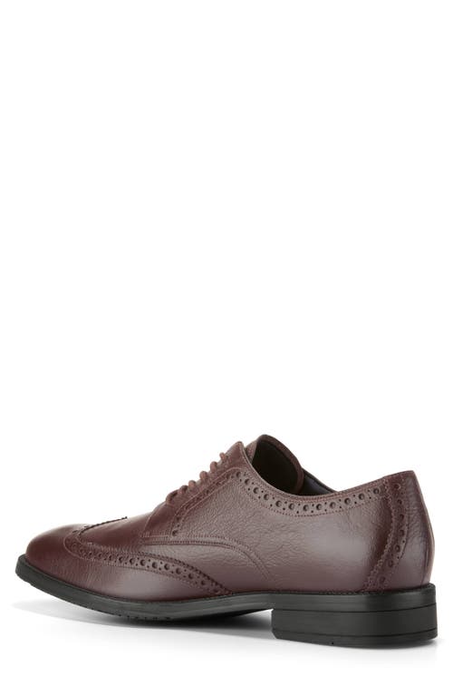 Cole Haan Modern Essentials Wingtip Oxford In Madeira