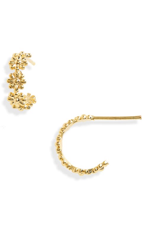Estella Bartlett Daisy Chain Hoop Earrings in Gold at Nordstrom