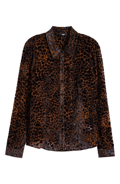 Shop Paige Desano Cheetah Velvet Burnout Button-up Shirt In Landslide Multi