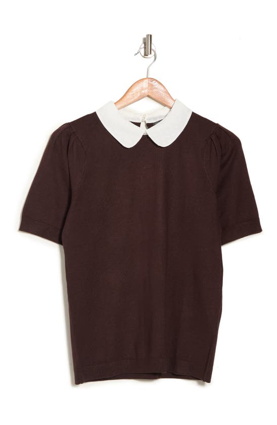 Adrianna Papell Hammered Satin Collar Short Sleeve Sweater In Deep Chocolate W/ivory