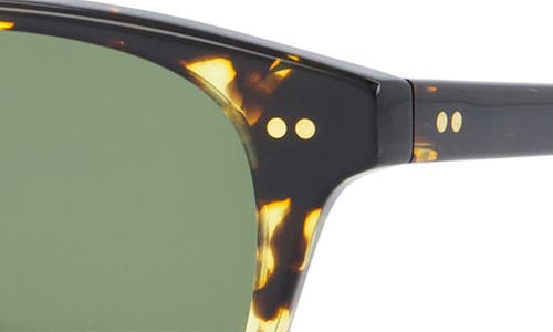 Toms Wyatt Small 49mm Round Sunglasses In Havana Tortoise/bottle Green