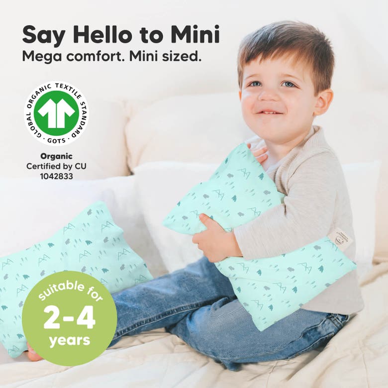 Shop Keababies Mini Toddler Pillow With Pillowcase In Polar