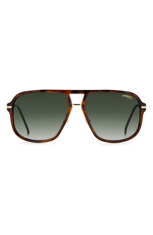 Carrera Eyewear 60mm Gradient Square Sunglasses in Havana /Green Shaded