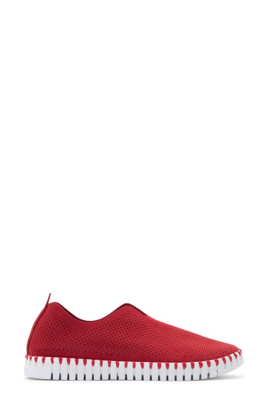 Shop Ilse Jacobsen Tulip Perforated Sneaker In Deep Red