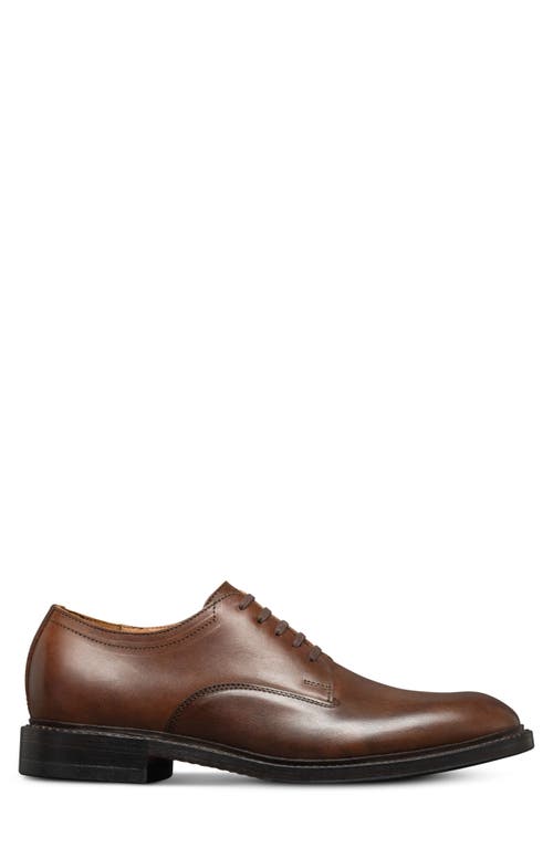 Allen Edmonds Trevor Derby In Tobacco