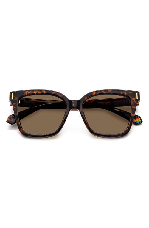 Polaroid 54mm Polarized Cat Eye Sunglasses In Brown