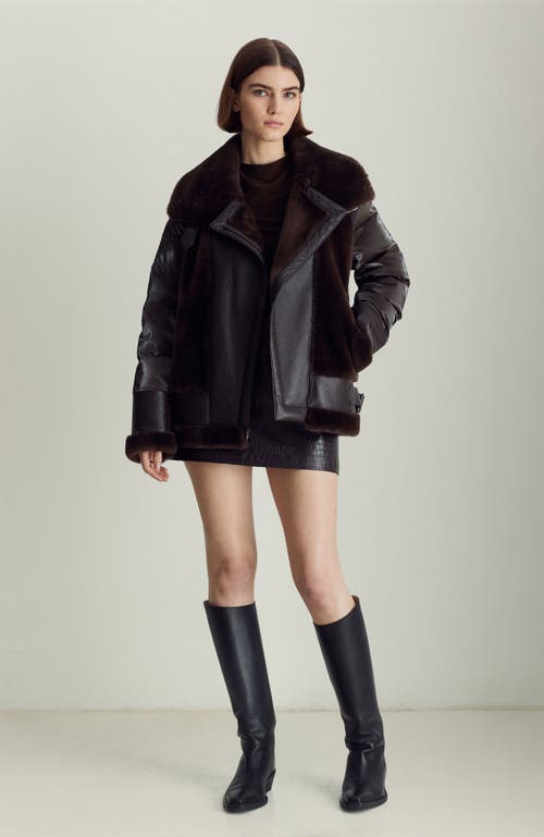 Dawn Levy Mel Coat In Chocolate