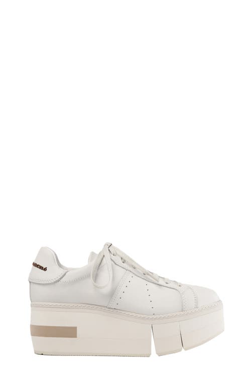 Paloma Barceló Paloma Barcelo Mirande Sneaker In White/gesso-taupe