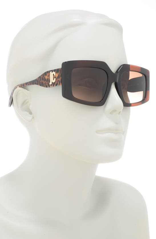 Shop Just Cavalli 54mm Square Sunglasses In Brown Brown Brown