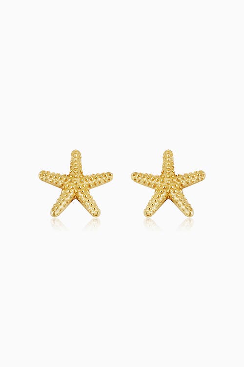 Oradina 14k Yellow Gold Starfish Studs In Yellow Gold