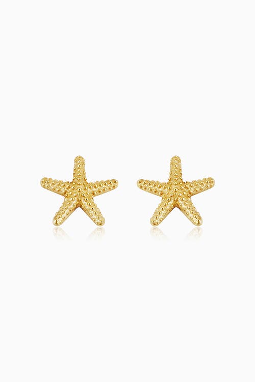 Shop Oradina 14k Yellow Gold Starfish Studs