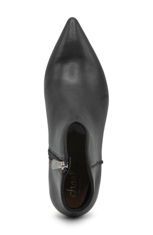 Charles By Charles David Abe Pointed Toe Bootie In Black