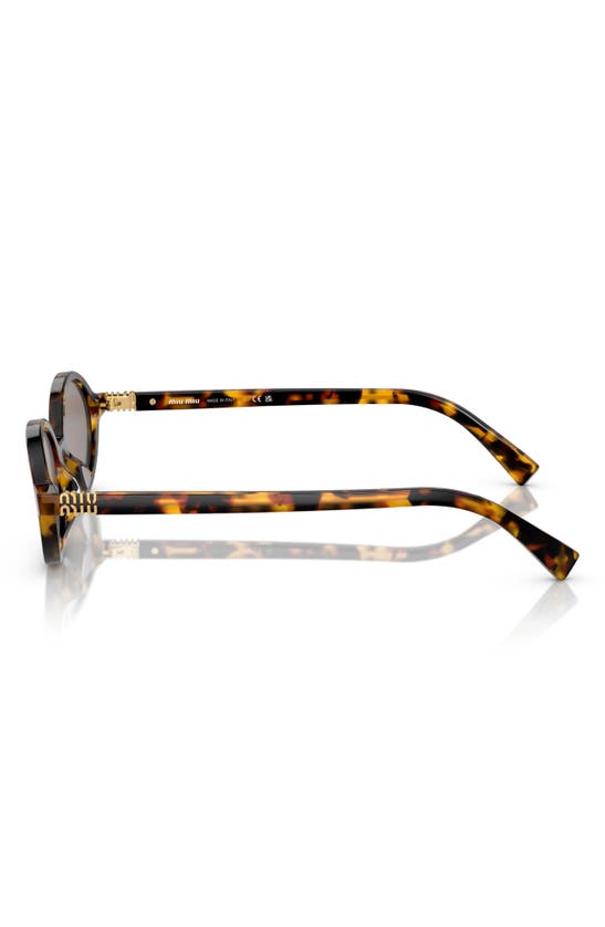 Miu Miu Regard Round-frame Tortoiseshell Acetate Glasses In Grey Mirror
