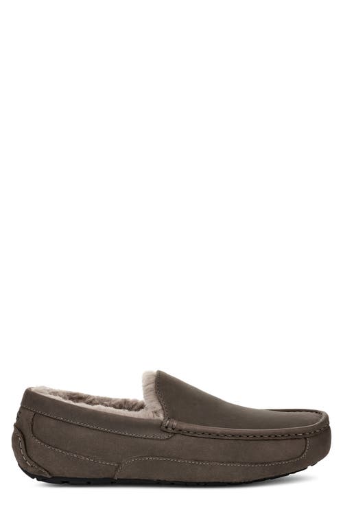 Shop Ugg(r) Ascot Slipper In Thunder Cloud