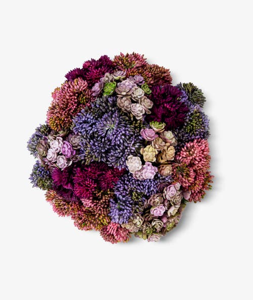 Cocobella Allison Ceramic Sedum Arrangement In Pink