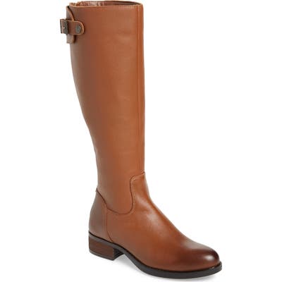 Steve Madden Edie Knee High Boot- Brown