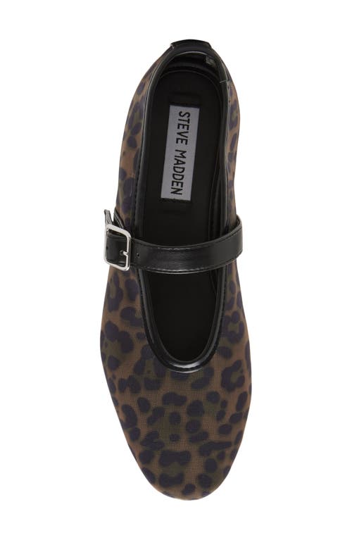 Shop Steve Madden Dreaming Mary Jane Flat In Leopard Mesh