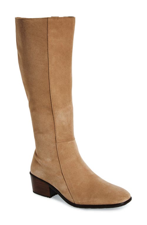 Gift Knee High Boot in Almond Suede