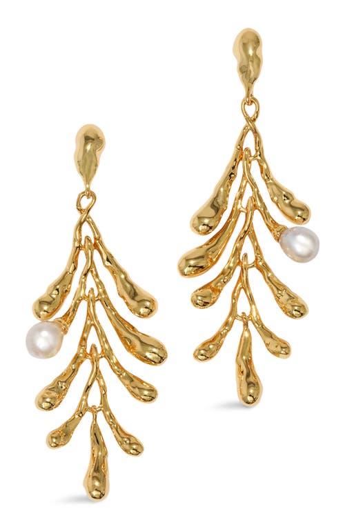 Shop Alexis Bittar Perla Drop Earrings In Stones