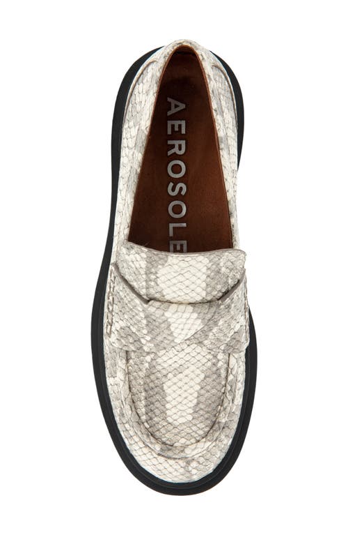 Shop Aerosoles Garett Penny Loafer In Roccia Snake Print Leather