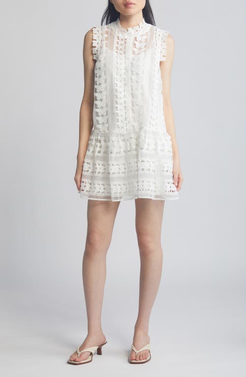 Cara Butterfly Lace Shift Dress in White