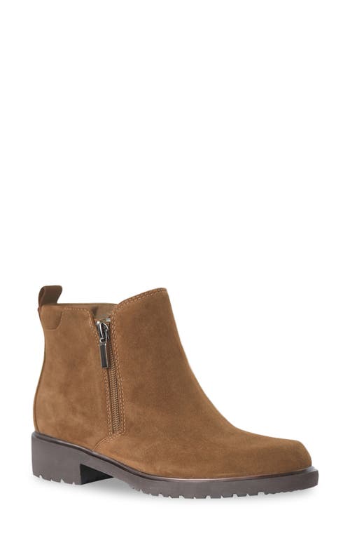 Munro Rourke Water Resistant Bootie New Tobacco Suede at Nordstrom,