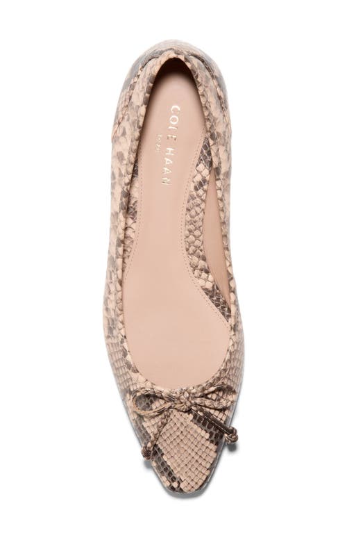 Shop Cole Haan Chlea Pointed Toe Ballet Flat In Cashmere