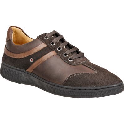 Sandro Moscoloni Toby Sneaker, Brown