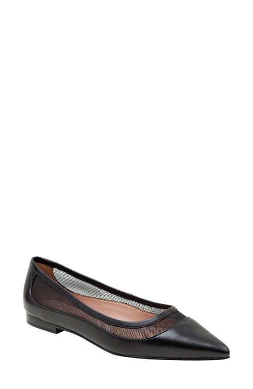 Linea Paolo Novah Pointed Toe Flat in Black 