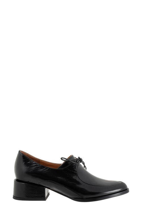 Shop Eos Footwear Casi Derby In Black Patent