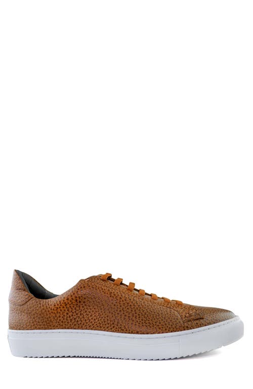 Gernie Slip-on Low Top Sneaker In Cognac