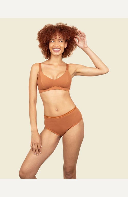 Subset Triangle Soft Bra In Spice