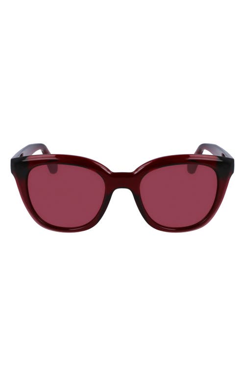 Shop Ferragamo Classic Logo Tea Cup 52mm Round Sunglasses In Transparent Red