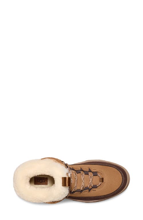 Ugg(r) Terretrail Cozy Winter Boot In Chestnut