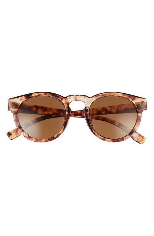 AIRE Cursa 48mm Round Sunglasses in Honey Tort /Brown Mono