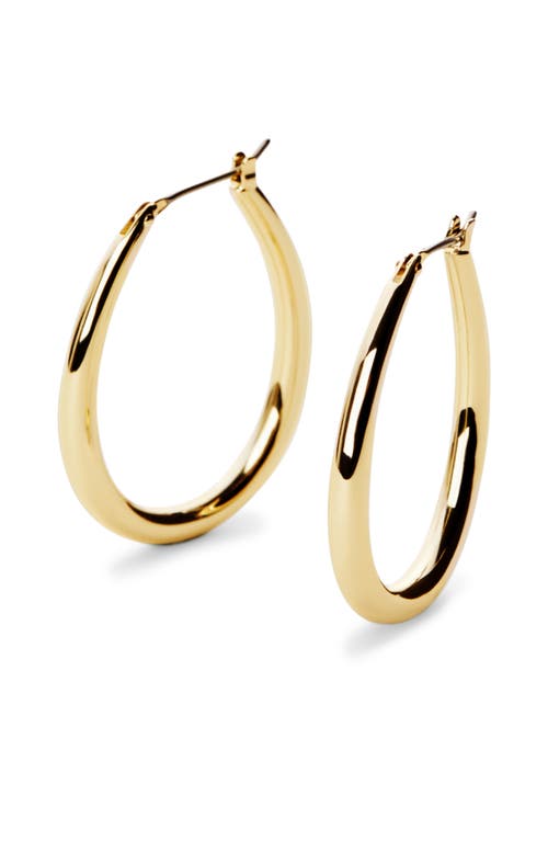 Shop Ana Luisa Hoop Earrings In Gold