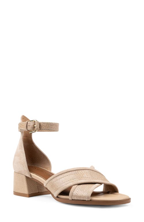 Shop Donald Pliner Ava Ankle Strap Sandal