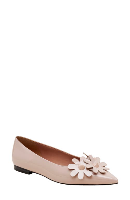 Linea Paolo Narcisus Pointed Toe Flat at Nordstrom,