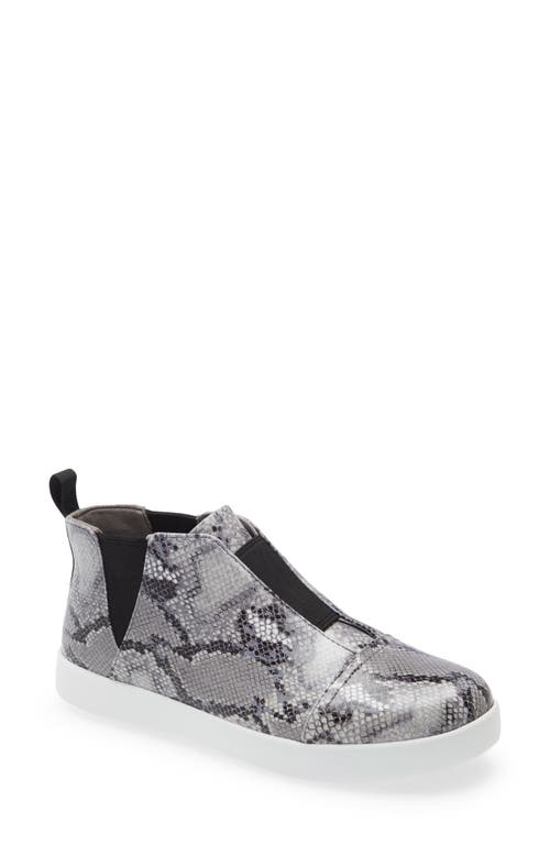 Parker Pull-On Platform Sneaker in Grey Snake Print