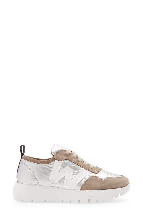 Wonders Sport Sneaker In Tau/pla/ta